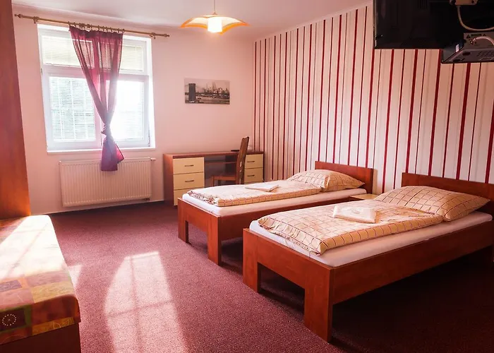 Guest house Penzion Na Kopecku 3*